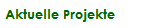 Aktuelle Projekte