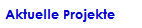 Aktuelle Projekte